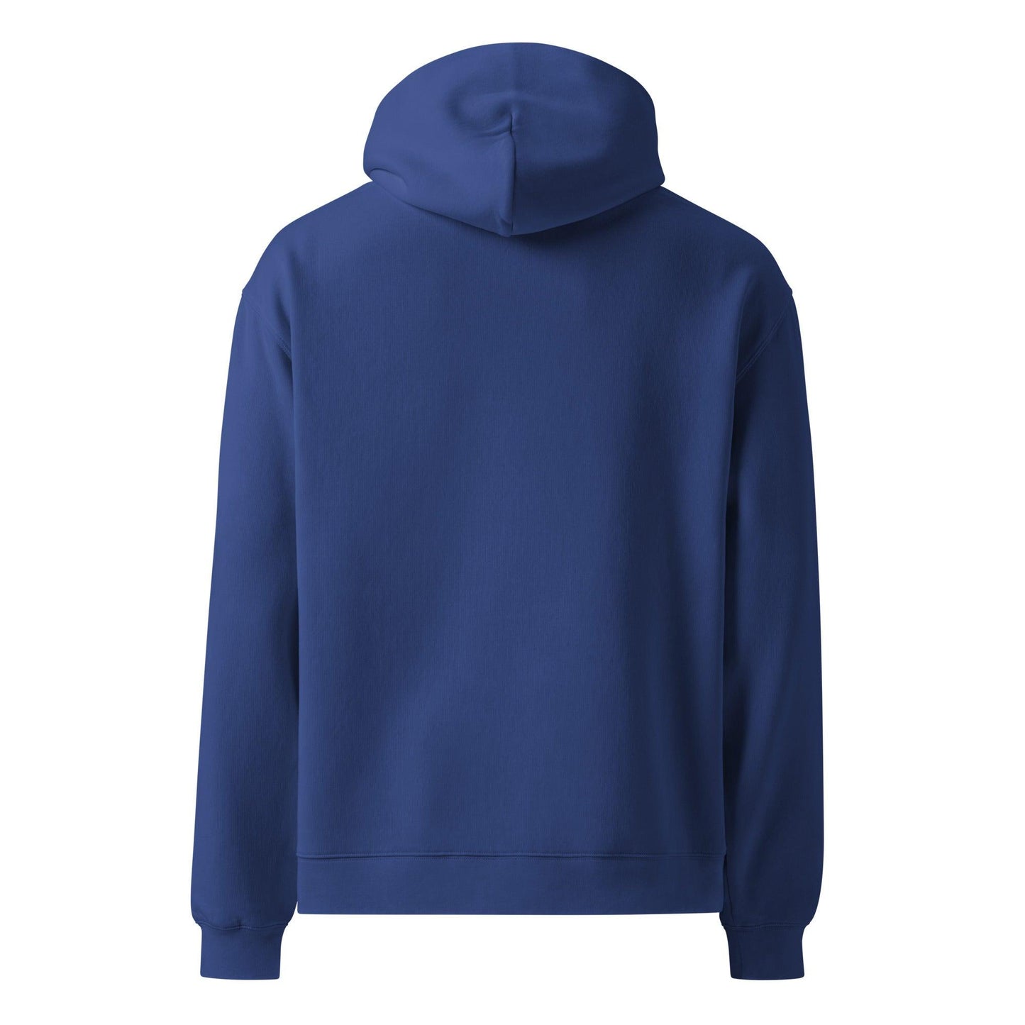 Lion of Judah Unisex Hoodie - Inspired by True Love