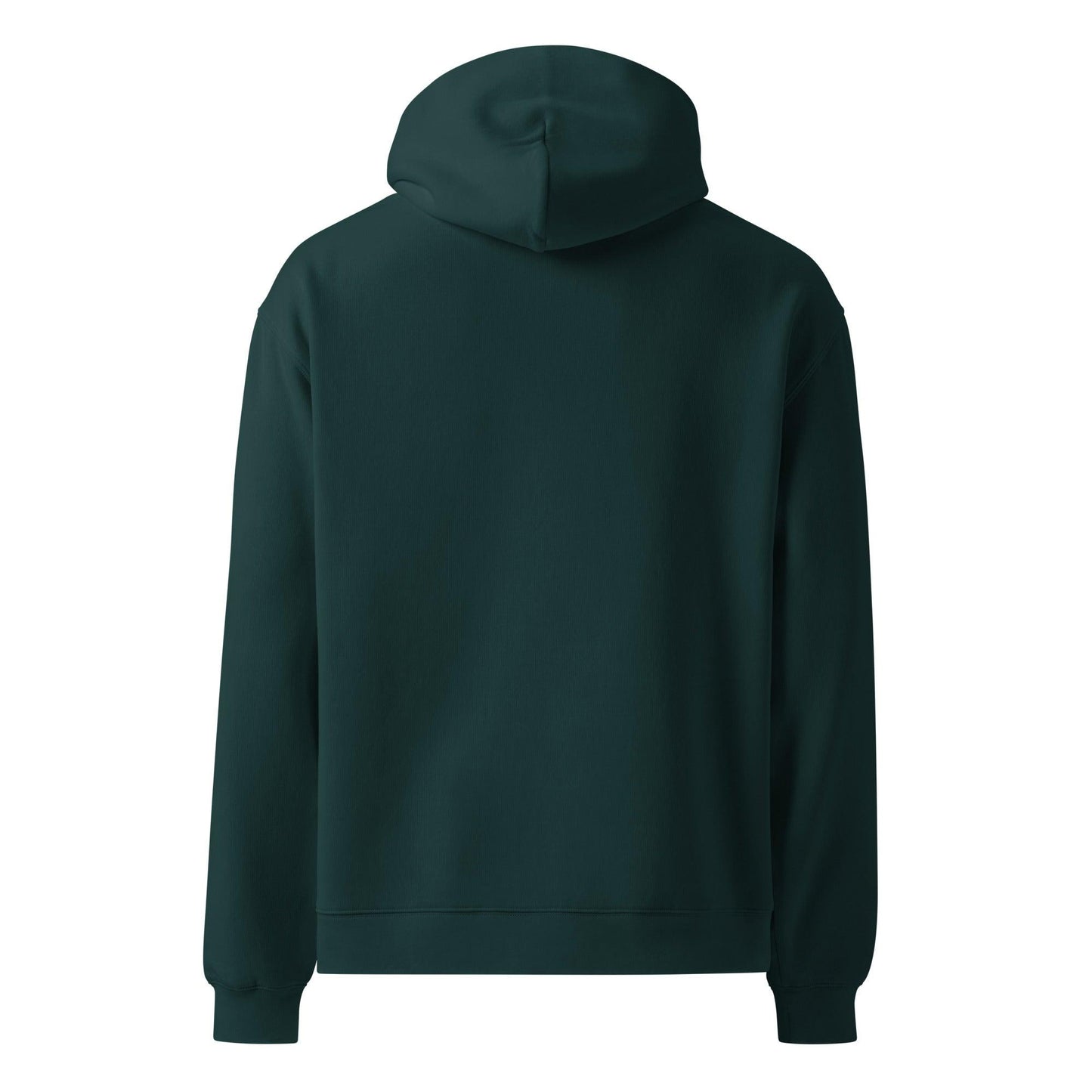 Lion of Judah Unisex Hoodie - Inspired by True Love