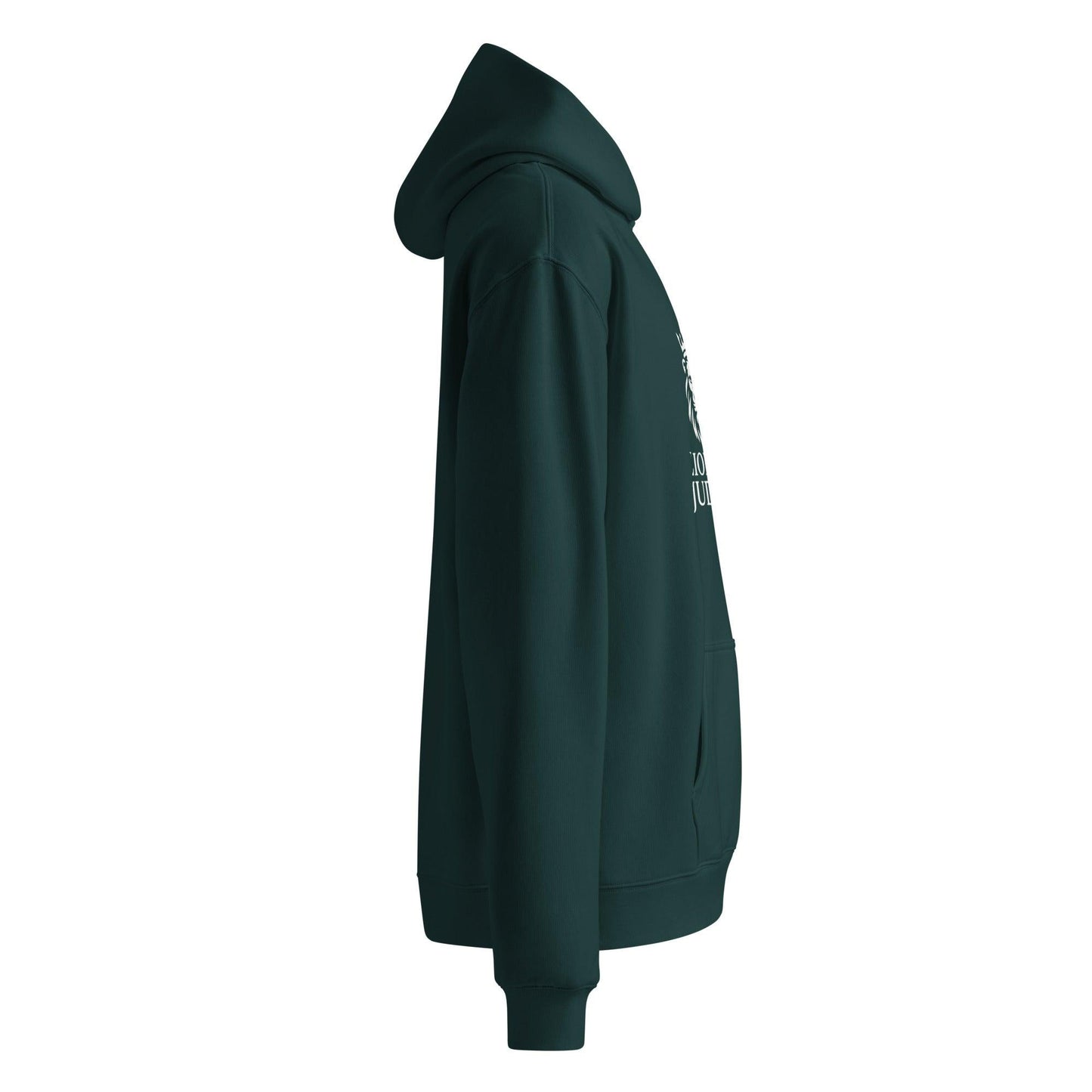 Lion of Judah Unisex Hoodie - Inspired by True Love